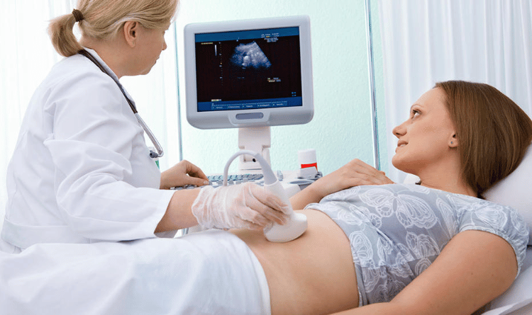 nt scan in pregnancy